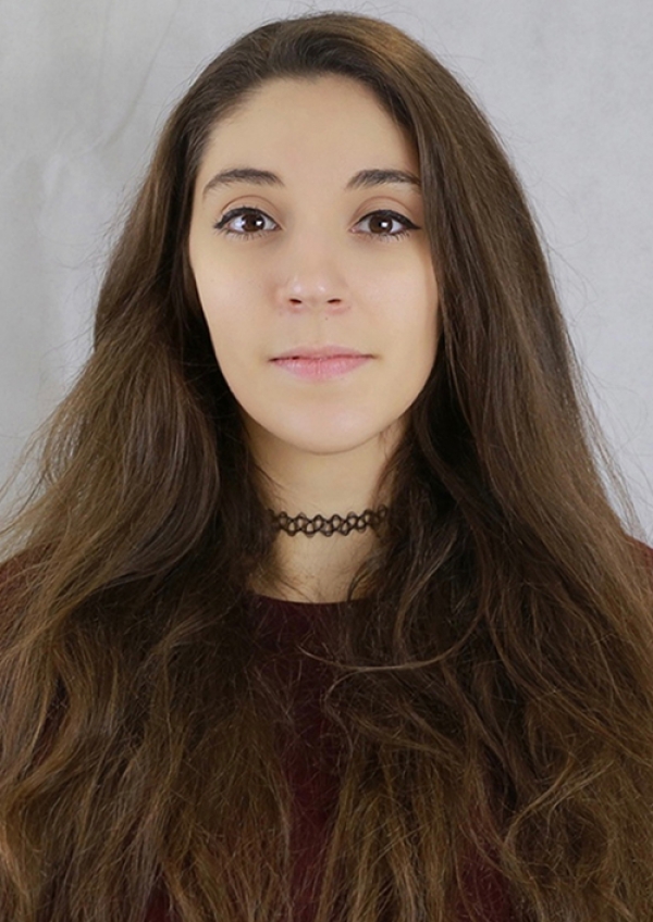 <a href='/index.html?ptype=view&idx=10827&page=1&code=model'>GES92</a>