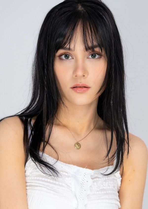 <a href='/index.html?ptype=view&idx=11300&page=1&code=model'>ANC95</a>