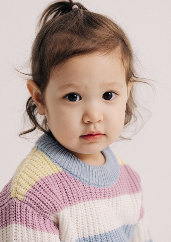 <a href='/index.html?ptype=view&idx=10907&page=1&code=y_model'>VLL24</a>