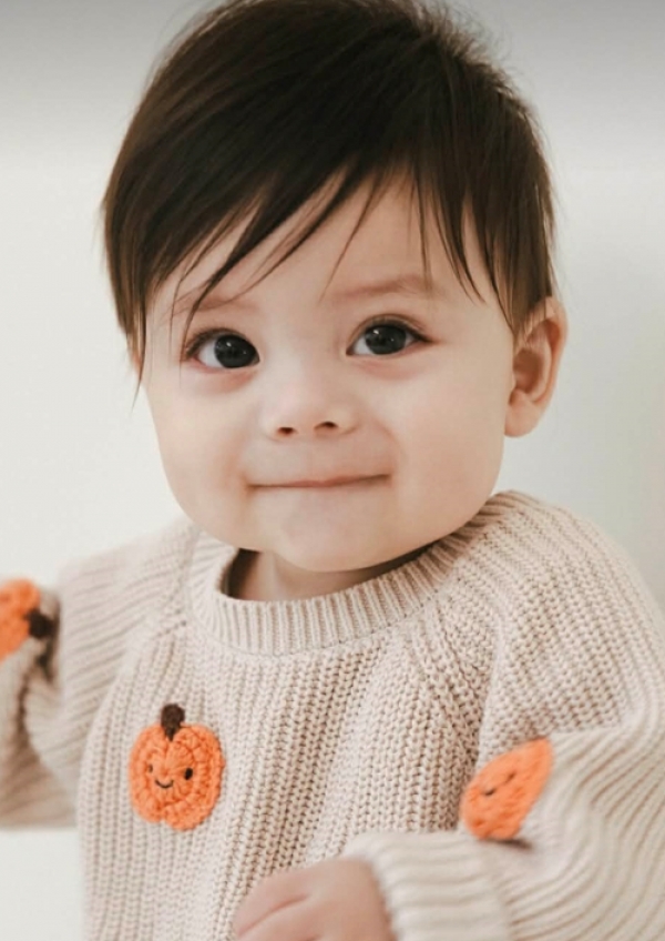 <a href='/index.html?ptype=view&idx=10995&page=1&code=y_model&category=151'>LCC25</a>