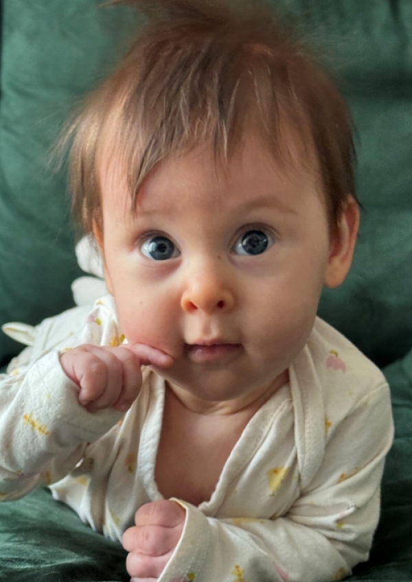 <a href='/index.html?ptype=view&idx=11358&page=1&code=y_model&category=152'>EMM25</a>