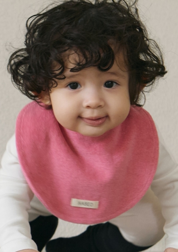 <a href='/index.html?ptype=view&idx=11378&page=1&code=y_model'>SRR25</a>