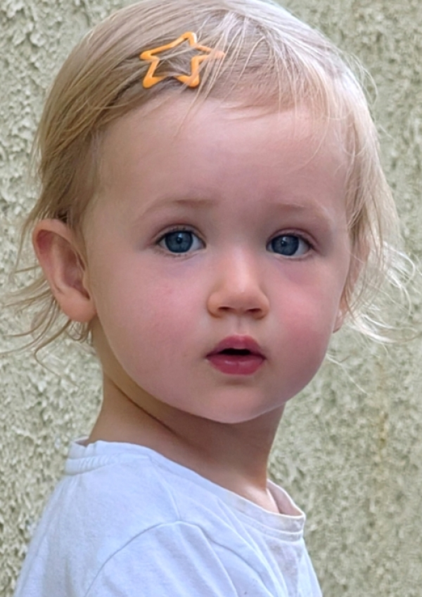 <a href='/index.html?ptype=view&idx=11649&page=1&code=y_model'>EVZ24</a>